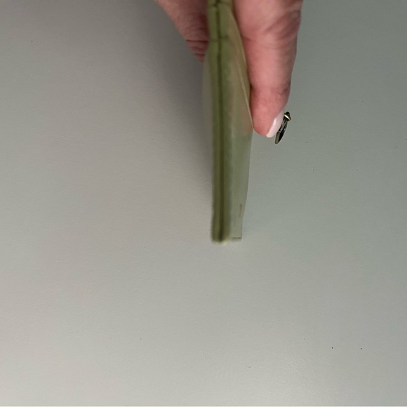 HOBO International Leather Max Card Case in Pistachio - Picture 5 of 5